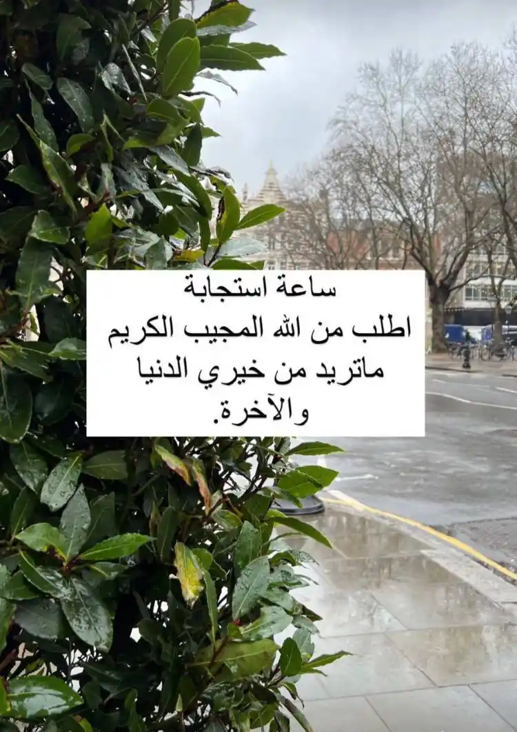 رؤى الطريفي post
