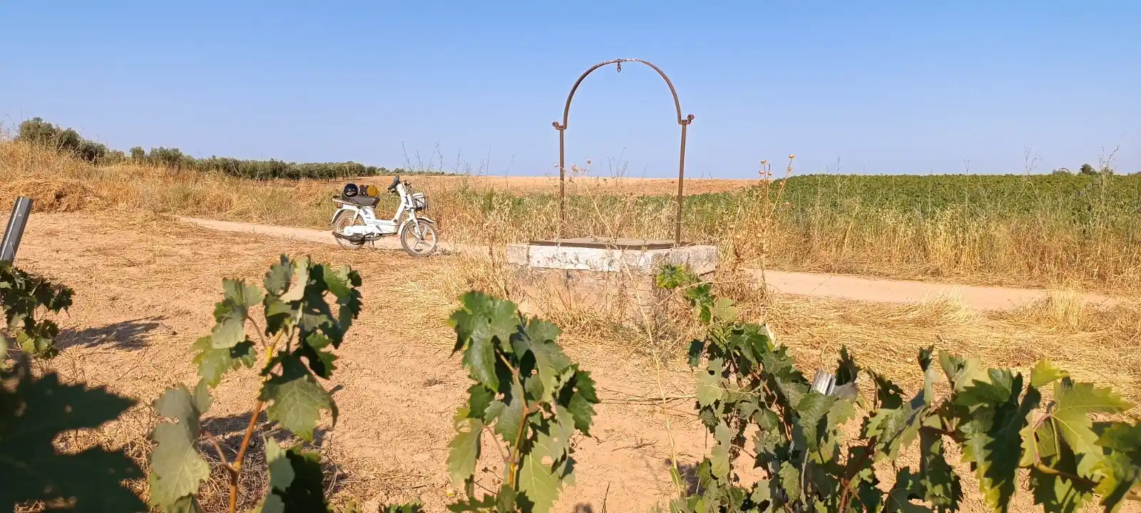 Rutas "Vespineras" de los Pozos rurales⛲🌳🛵🏰🛖🕳️🦆 post