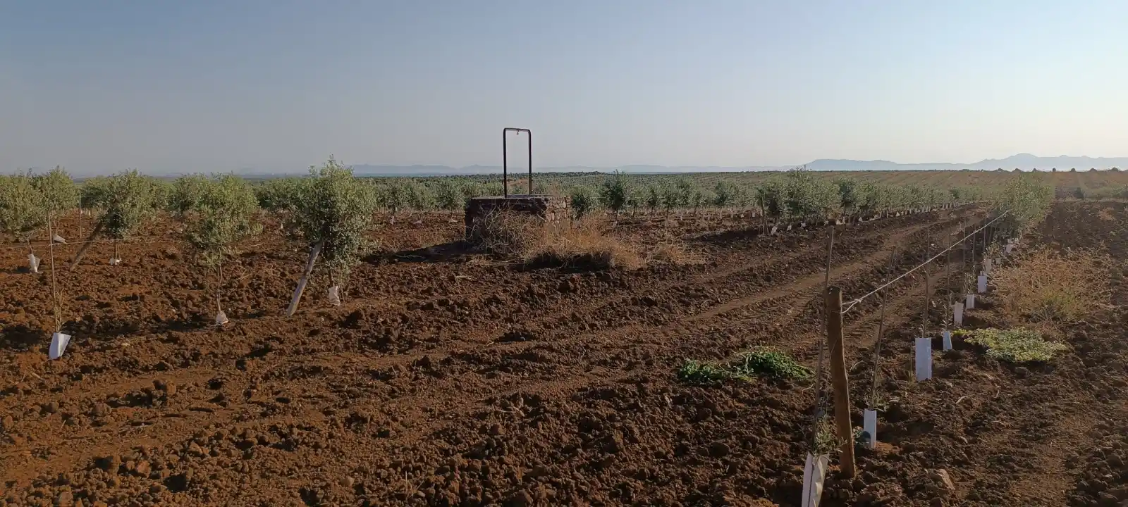 Rutas "Vespineras" de los Pozos rurales⛲🌳🛵🏰🛖🕳️🦆 post