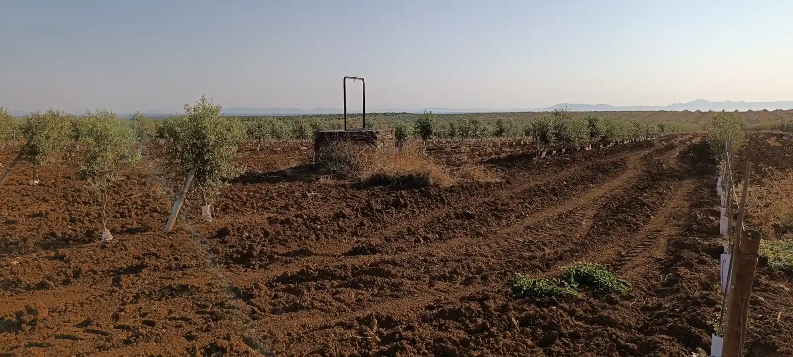 Rutas "Vespineras" de los Pozos rurales⛲🌳🛵🏰🛖🕳️🦆 post