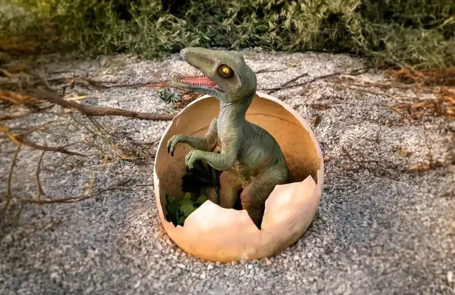 Sapos y Princesas post