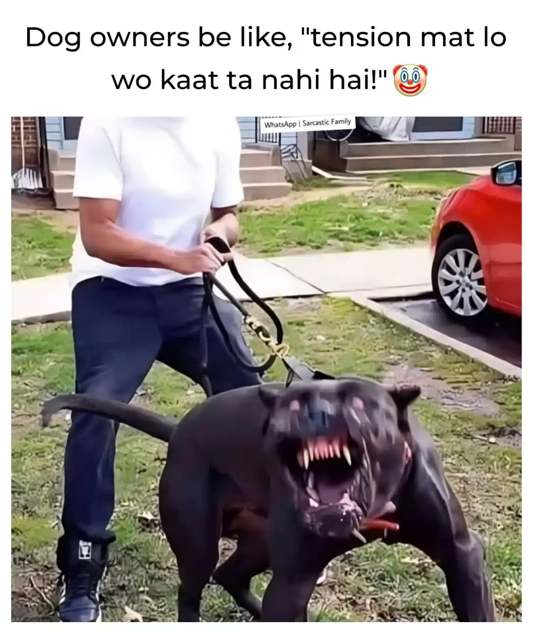 Sarcastic Family post