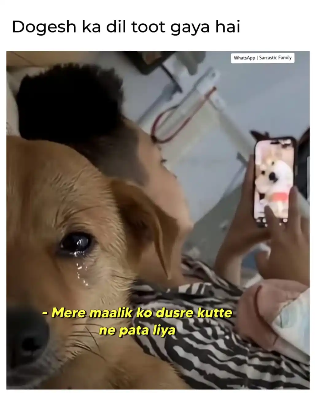 Sarcastic Family post