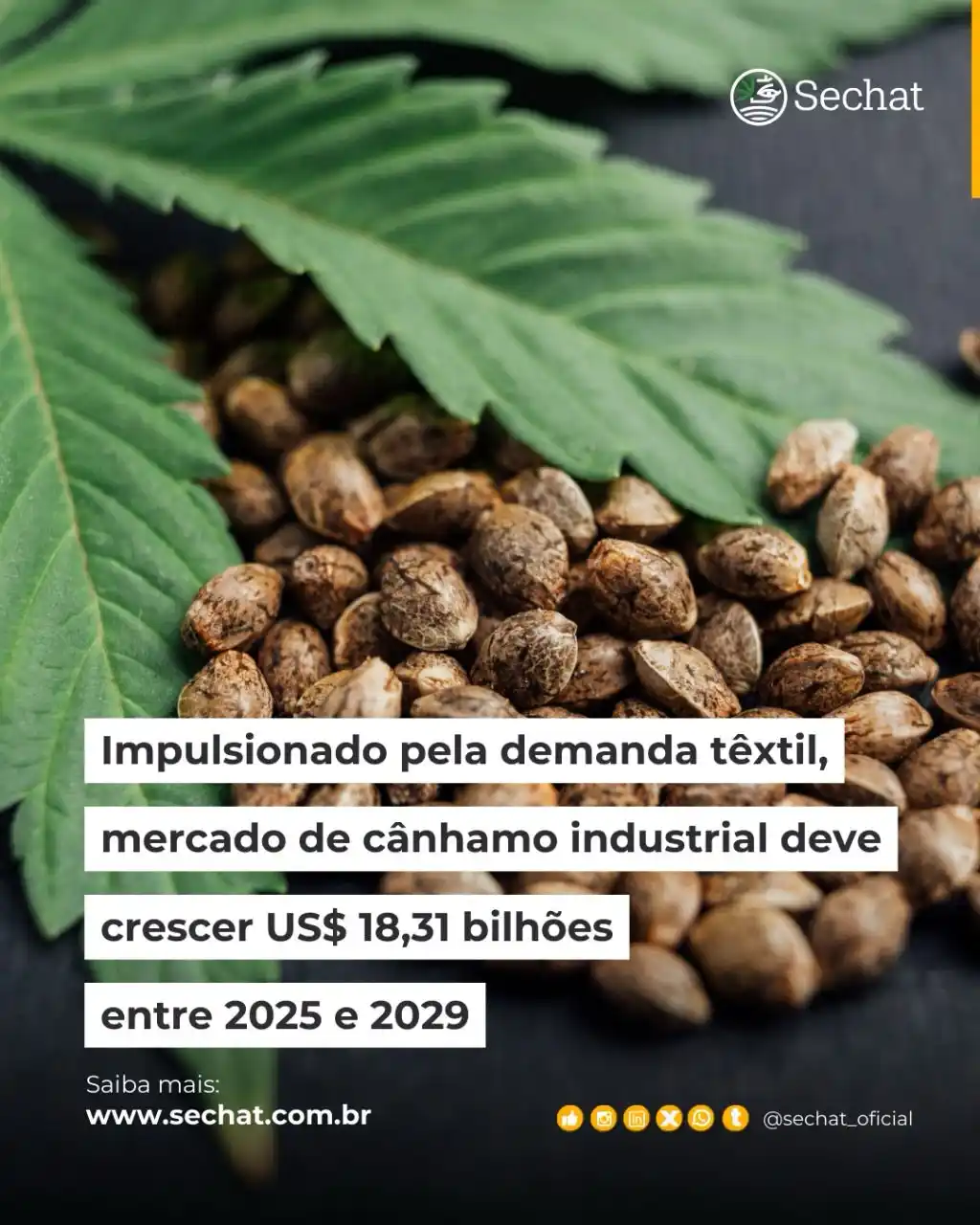 Sechat Oficial  post