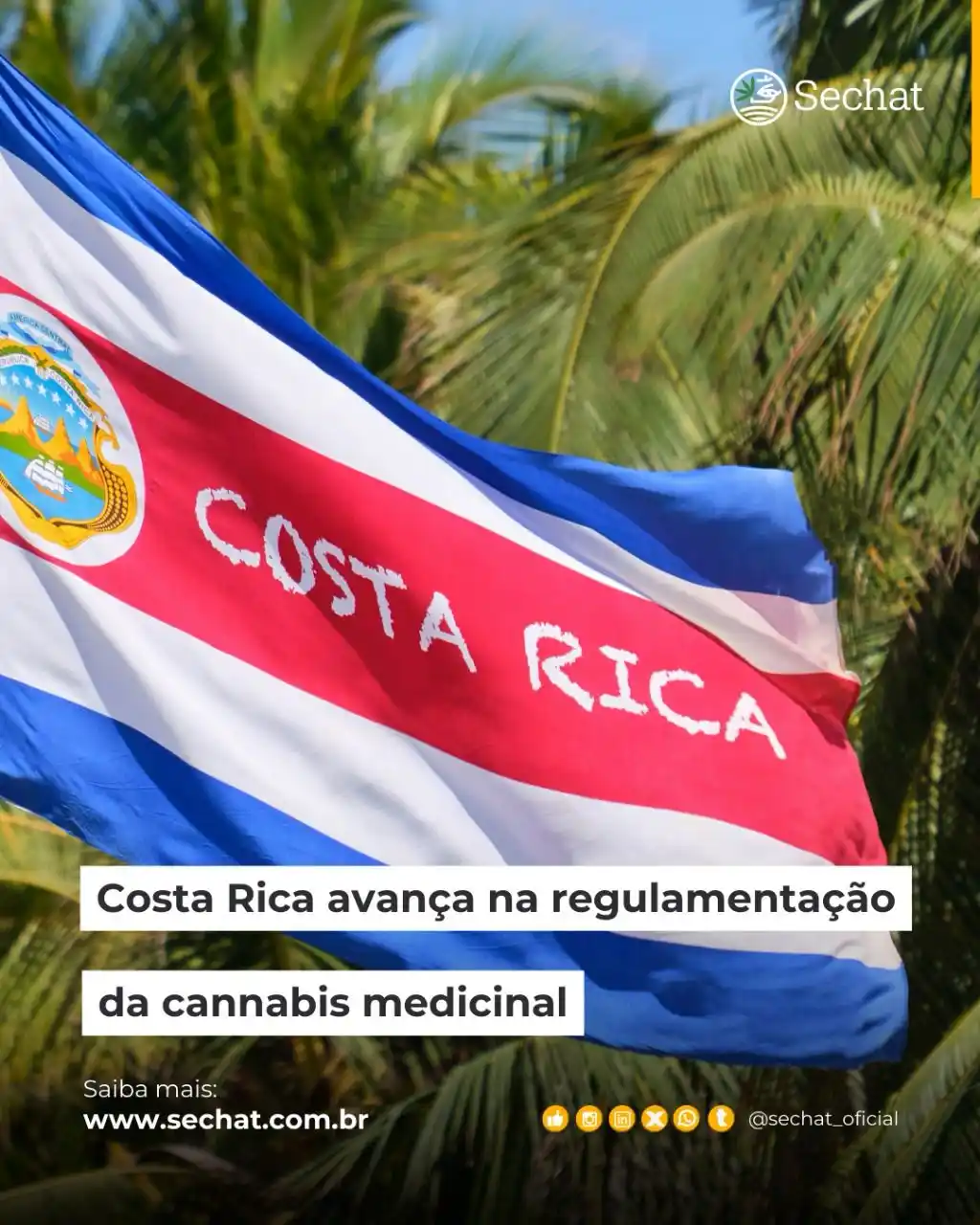 Image from Sechat Oficial : 📰 *Boletim Sechat - 28/02/2025*   1️⃣ *Cultivo Indoor: a possibilidad...