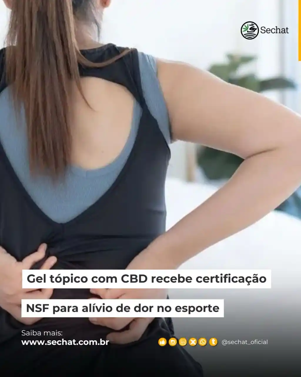 Sechat Oficial  post