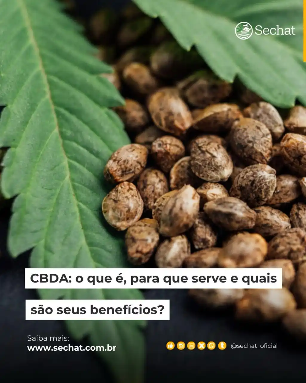 Sechat Oficial  post