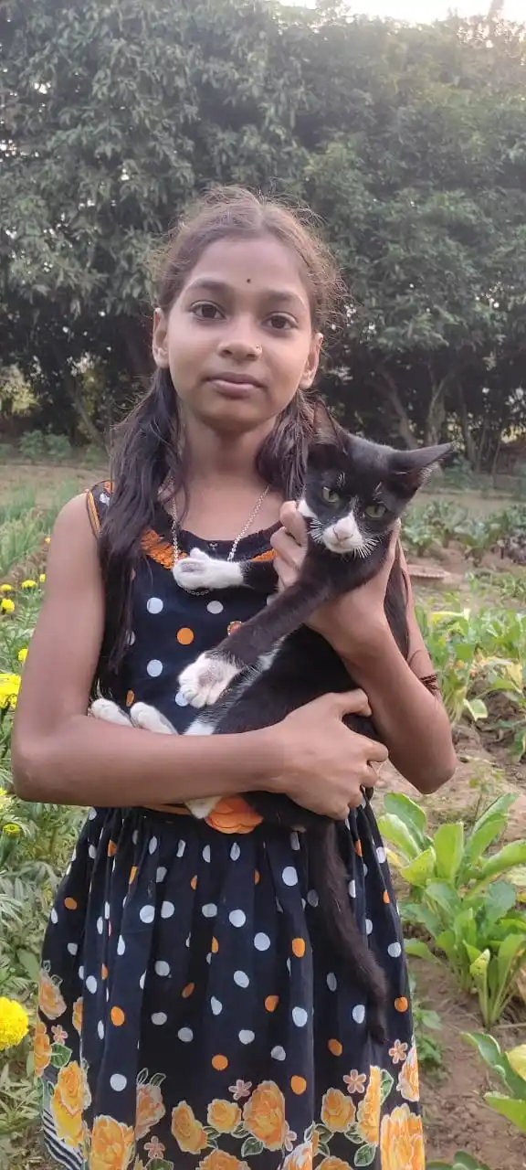 Sgsk News Point Channel post