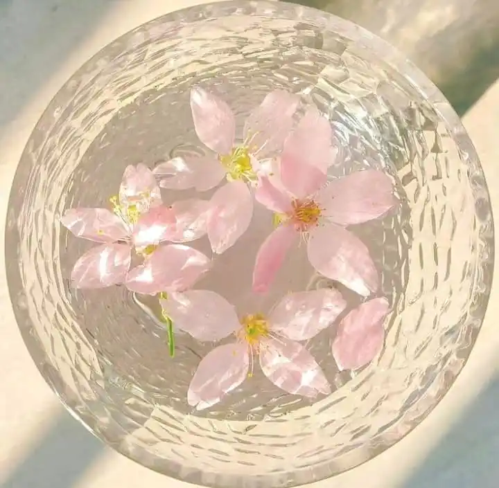Image from 🍶⃞░ㅤ𝗅ı𝗇𝖽⍺𝗌 𝖽ᧉ𝖼ᨷ𝗌 ⠾⠷ . 𝖻᳟ɥᩧ ꒰ ⍺rı ꒱ ✨️: > *Ya Te Vino 🍎 ??* 𝗌𝗂 (🌹)/ 𝗇𝗈 (💙) ⋰ ⏜...