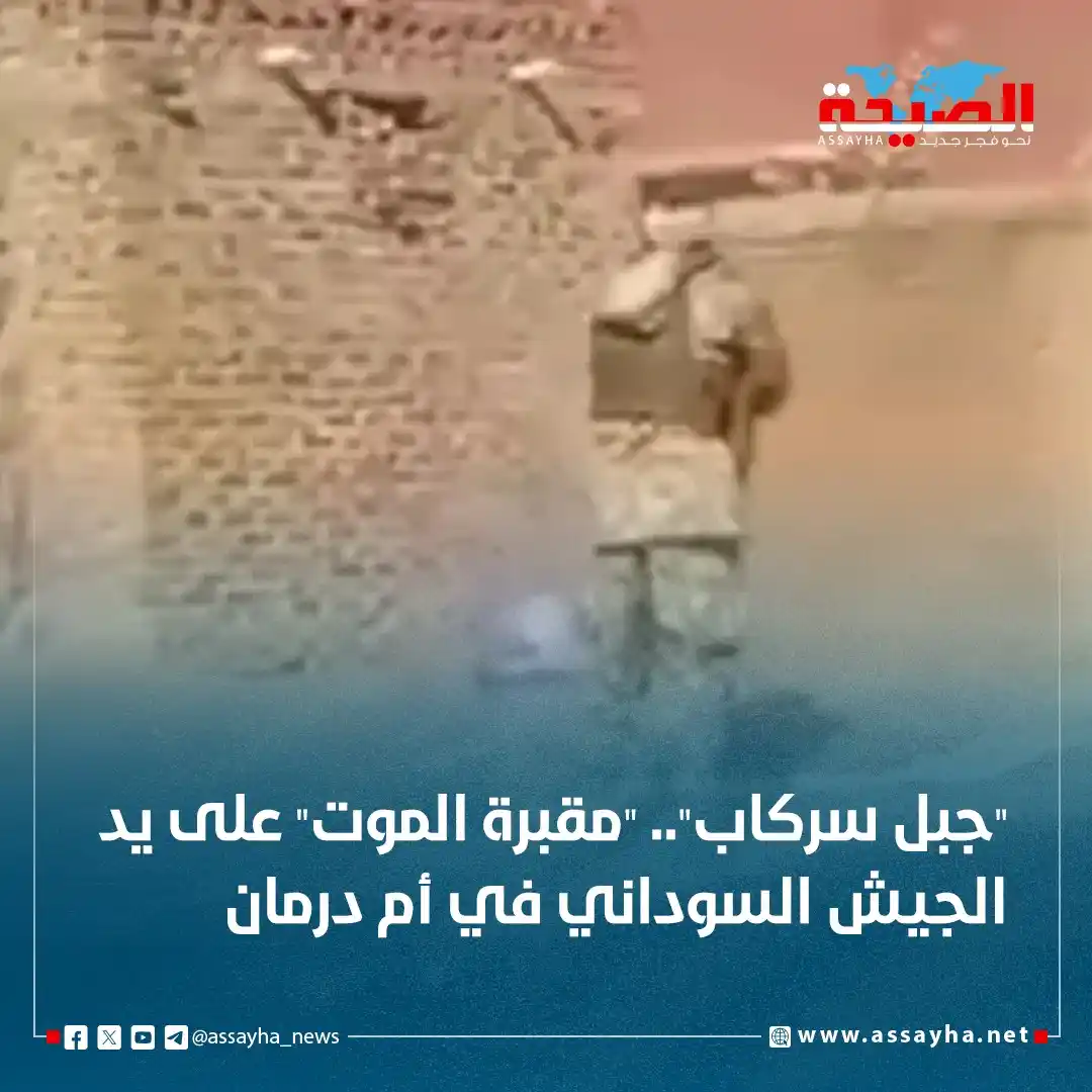 صحيفة الصيحة post