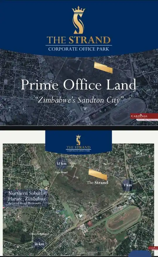 Simba Mupfekeri Pam Golding Properties post