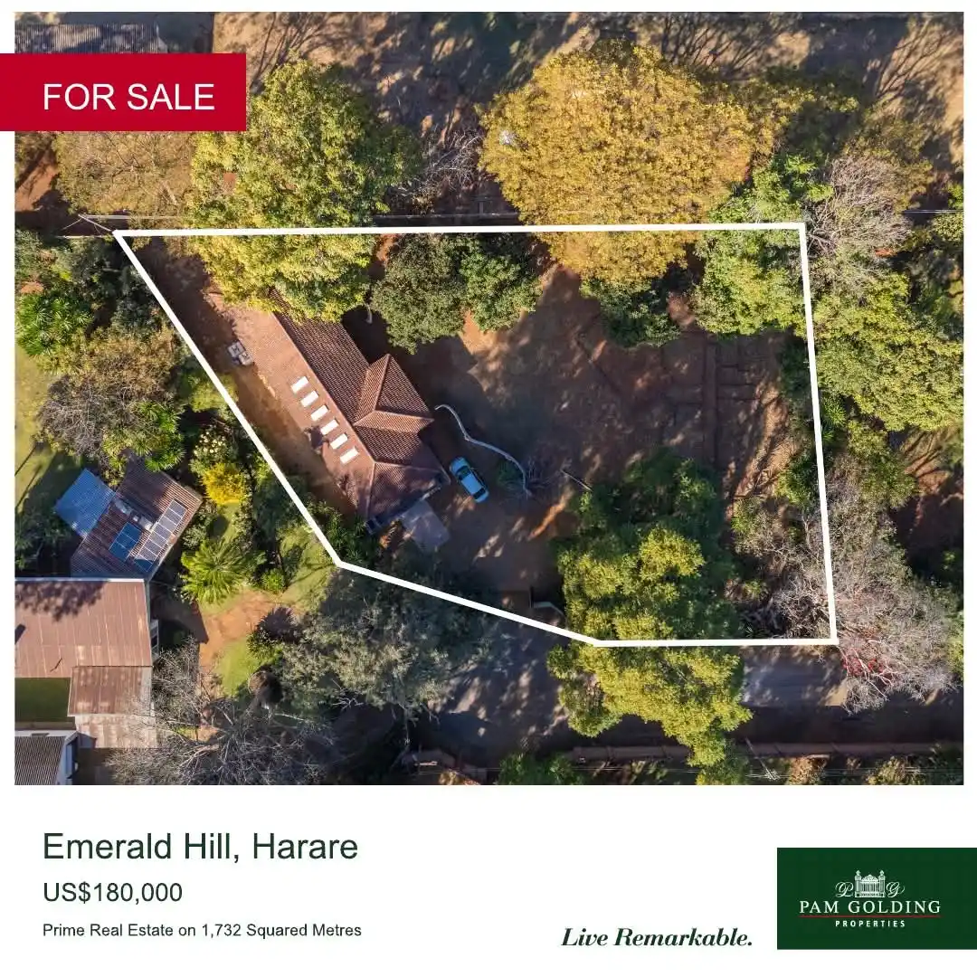 Simba Mupfekeri Pam Golding Properties post