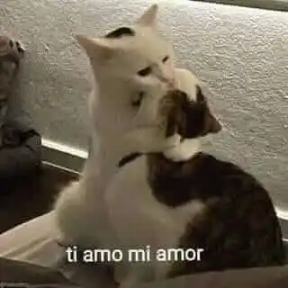 𝙎𝙊𝙇𝙊 𝙐𝙎𝙏𝙀𝘿 𝙔 𝙔𝙊 ❤️‍🩹✨ post