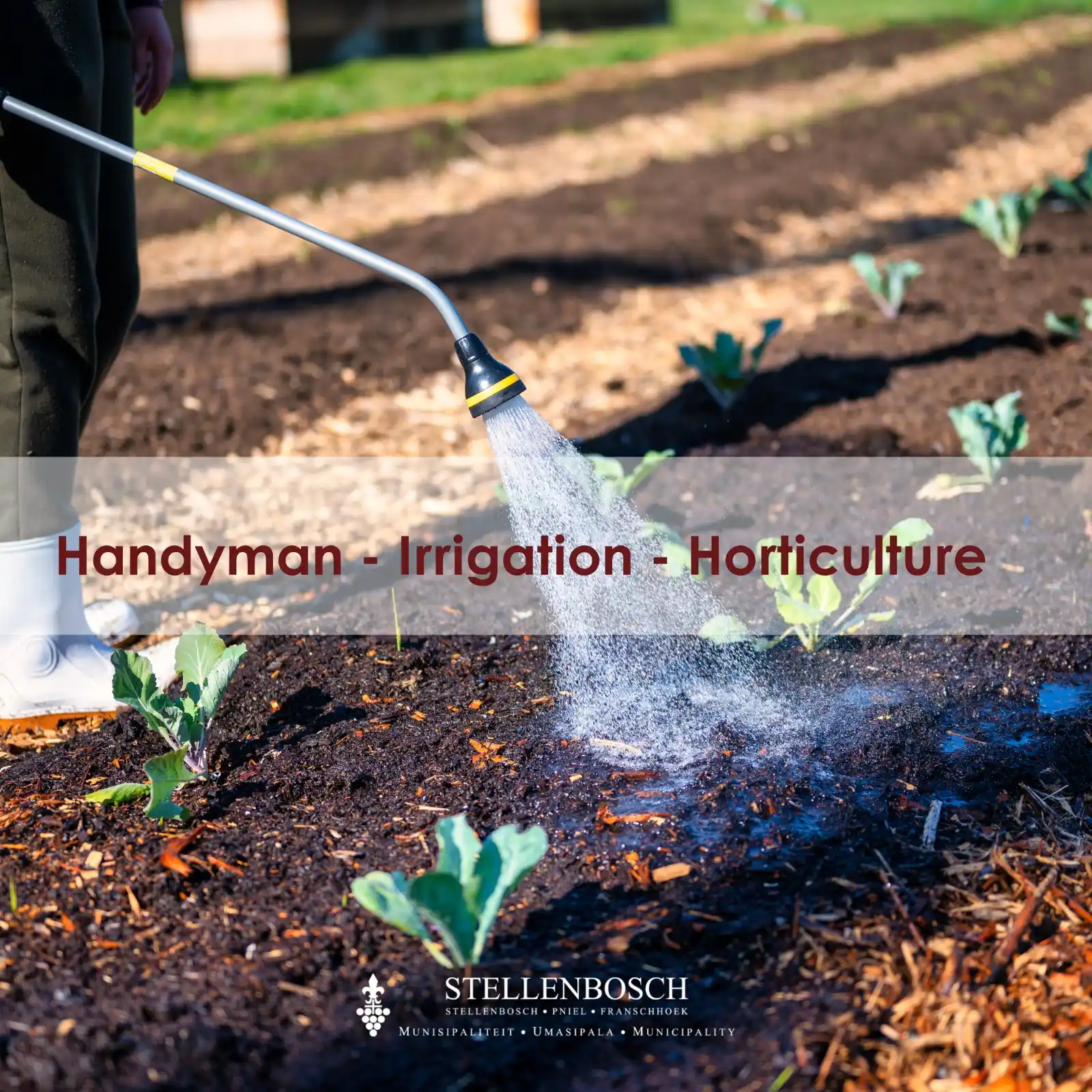 Stellenbosch Municipality post