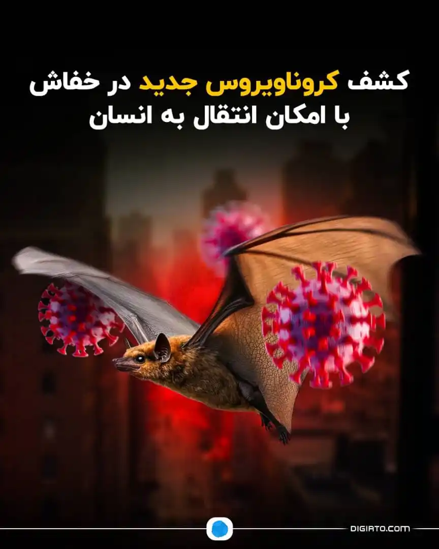 ذاکرالحسین  (علیه السلام ) امیرعلی عزلت post