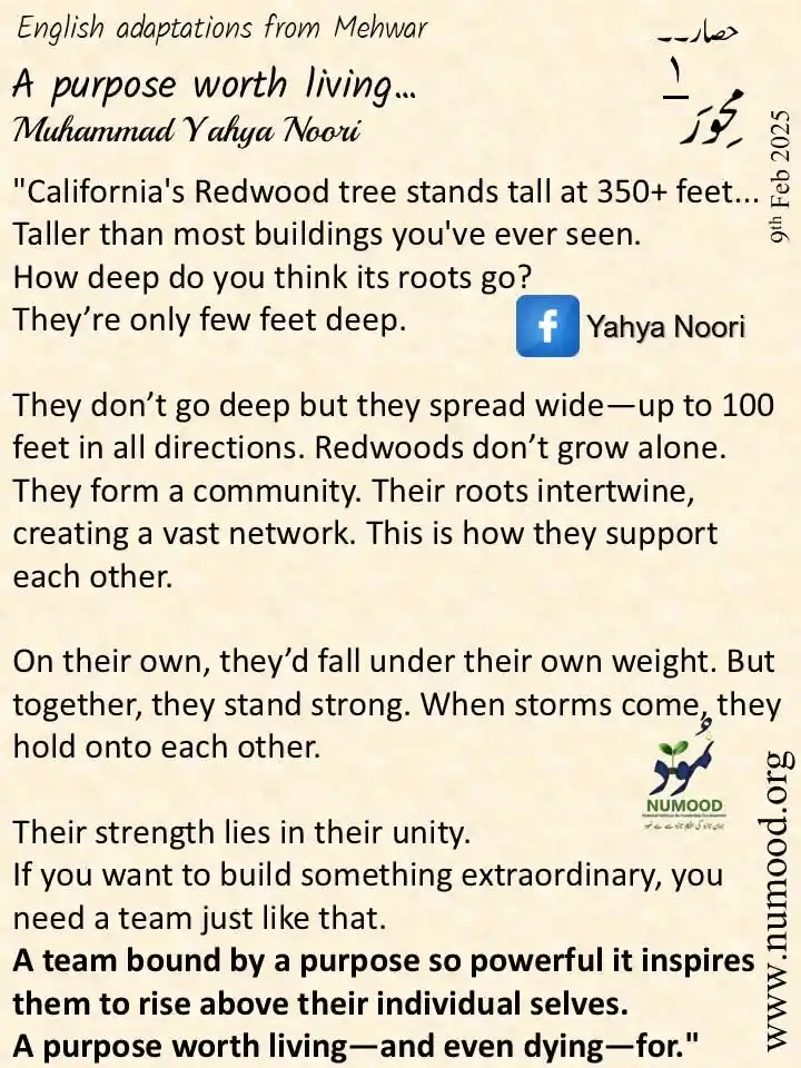 The Rise, writings by Yahya Noori, نمود post