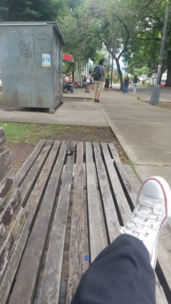 tortuguita post