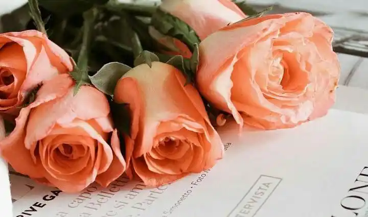 📚 تراث العلماء المحققين 📚 post