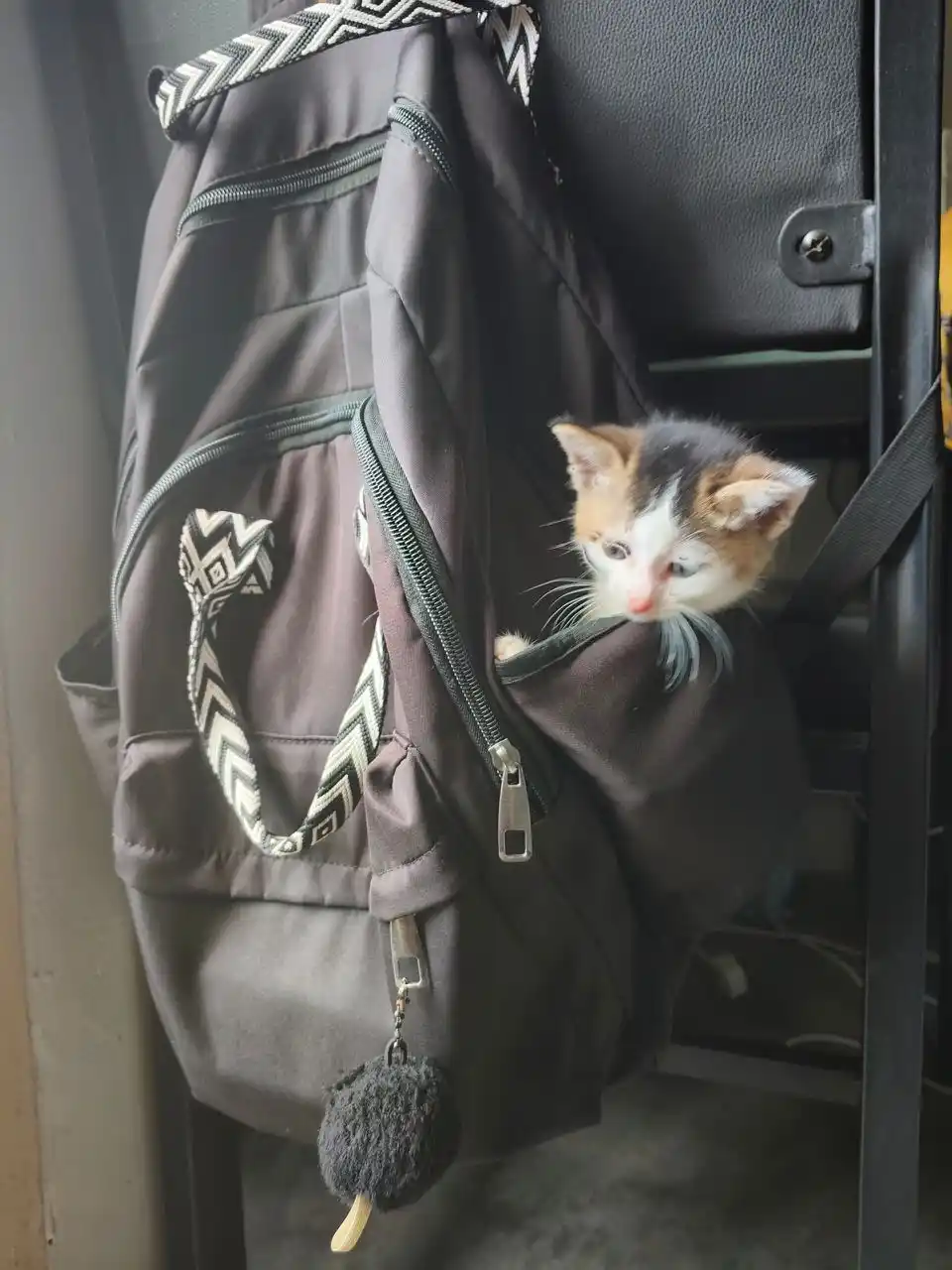 UNI CATz  post