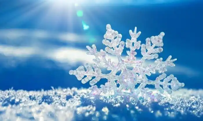 Vezirköprü İlçe Milli Eğitim Müdürlüğü post