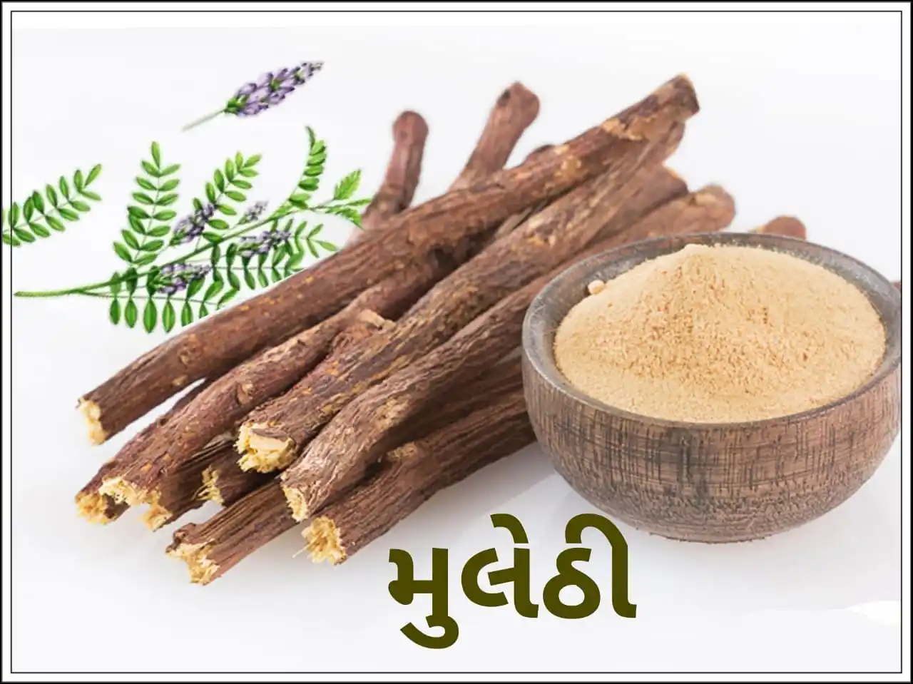 વંદે વસુંધરા બીજ બેંક post