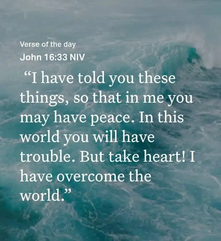 VOICE OF THE YOUTH post