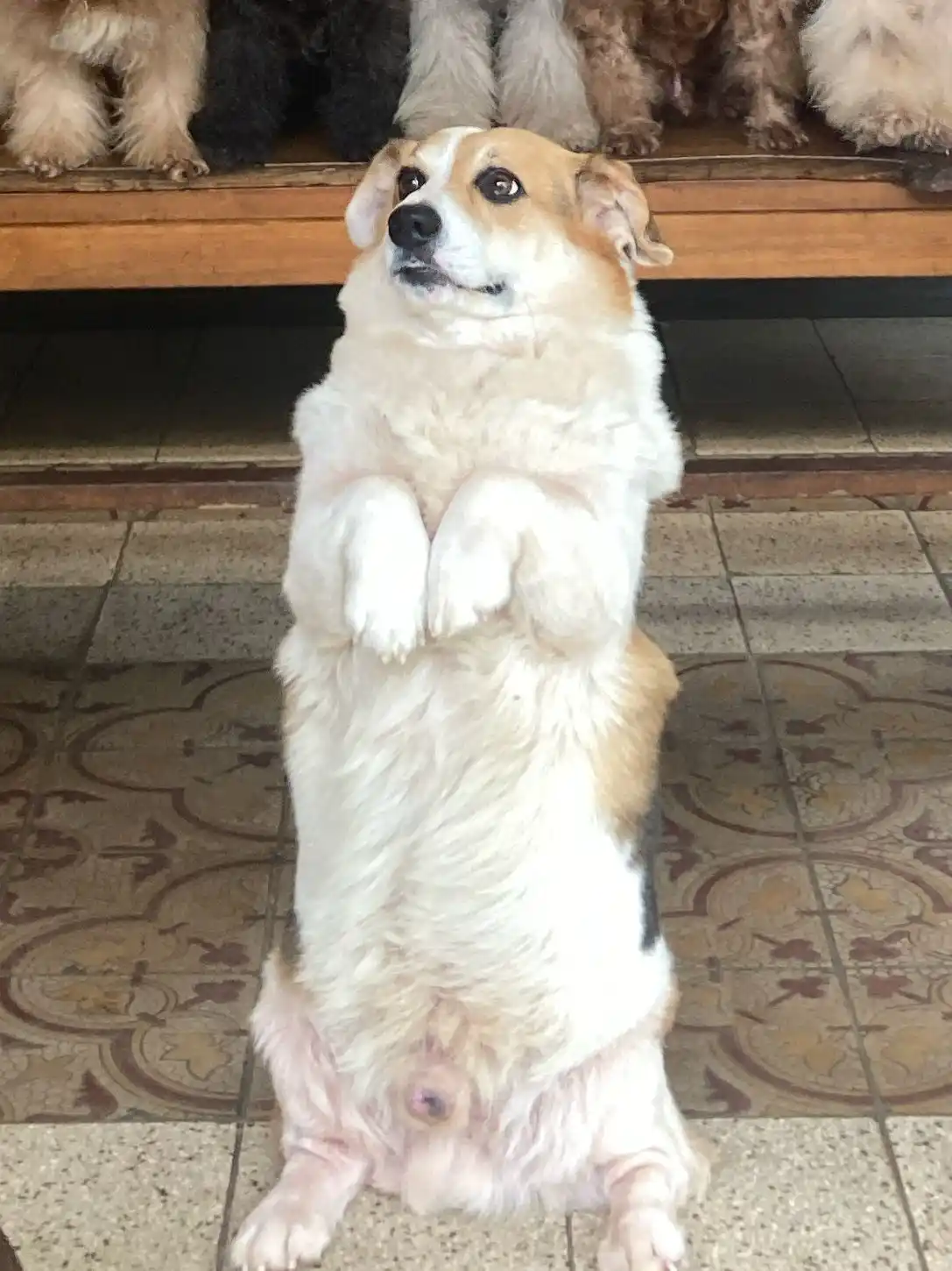𝗬𝗼𝗹𝗮♥︎ post