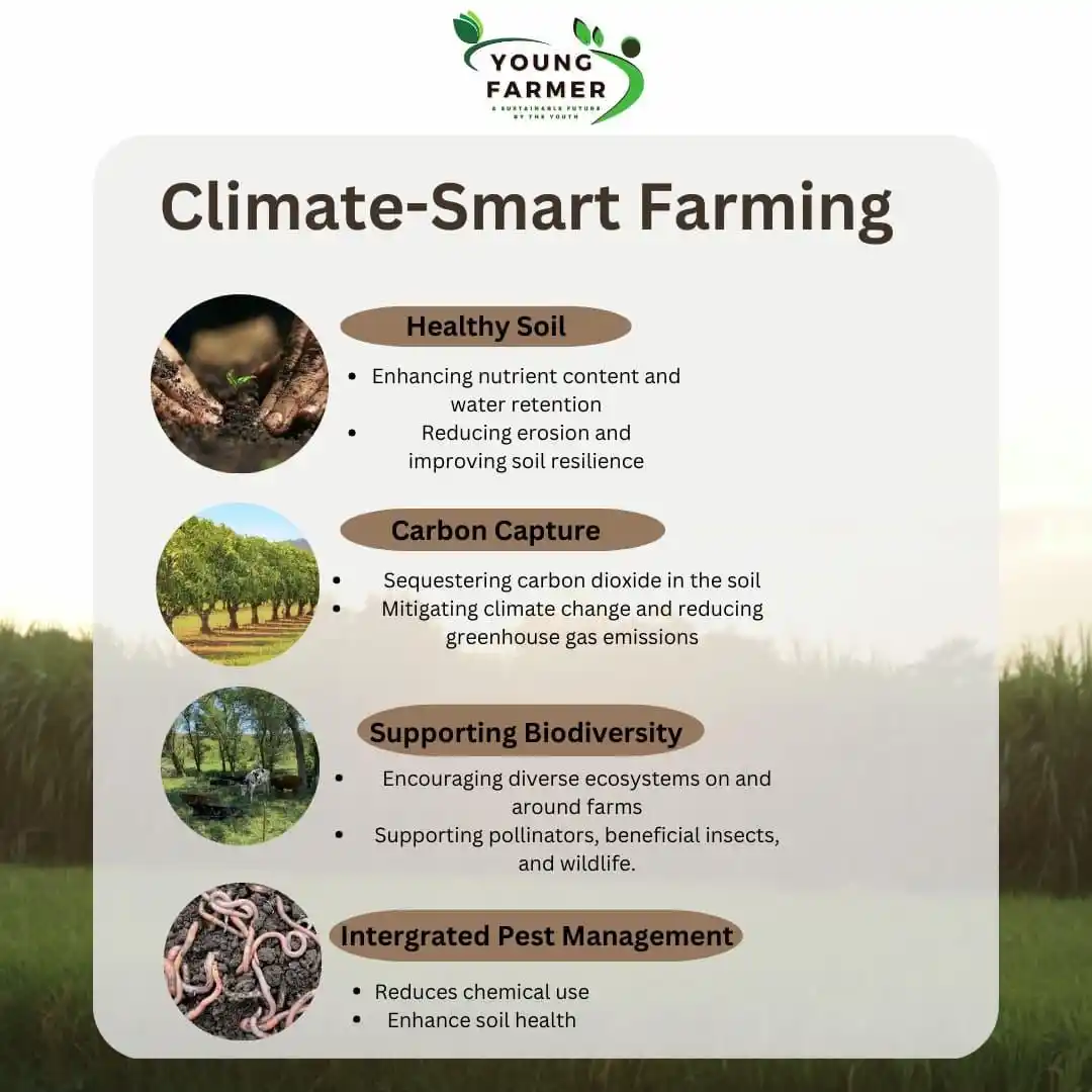Image from Young Farmer Official: Climate-Smart Farming for a Sustainable Future! 🌍 Discover key pract...