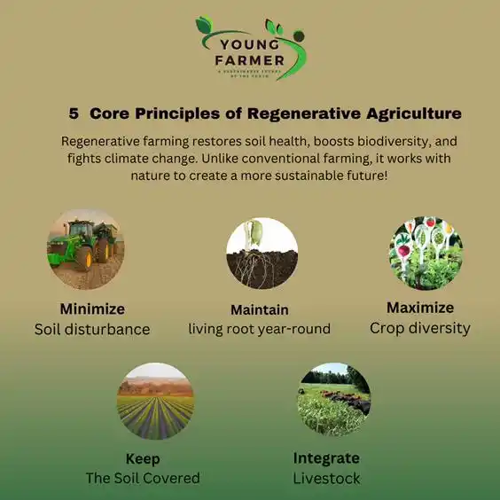 Image from Young Farmer Official: Regenerative farming restores soil health, boosts biodiversity, and fi...