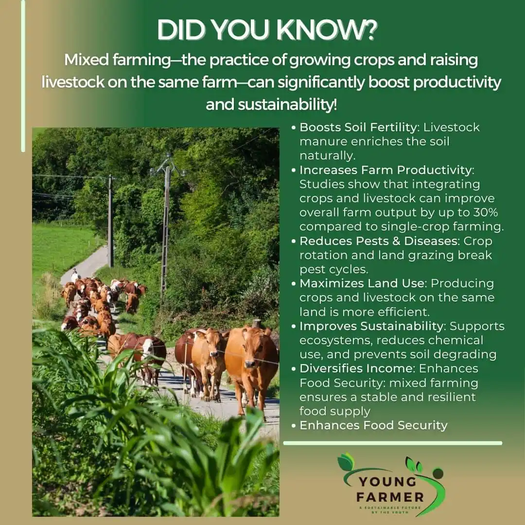 Young Farmer Official post
