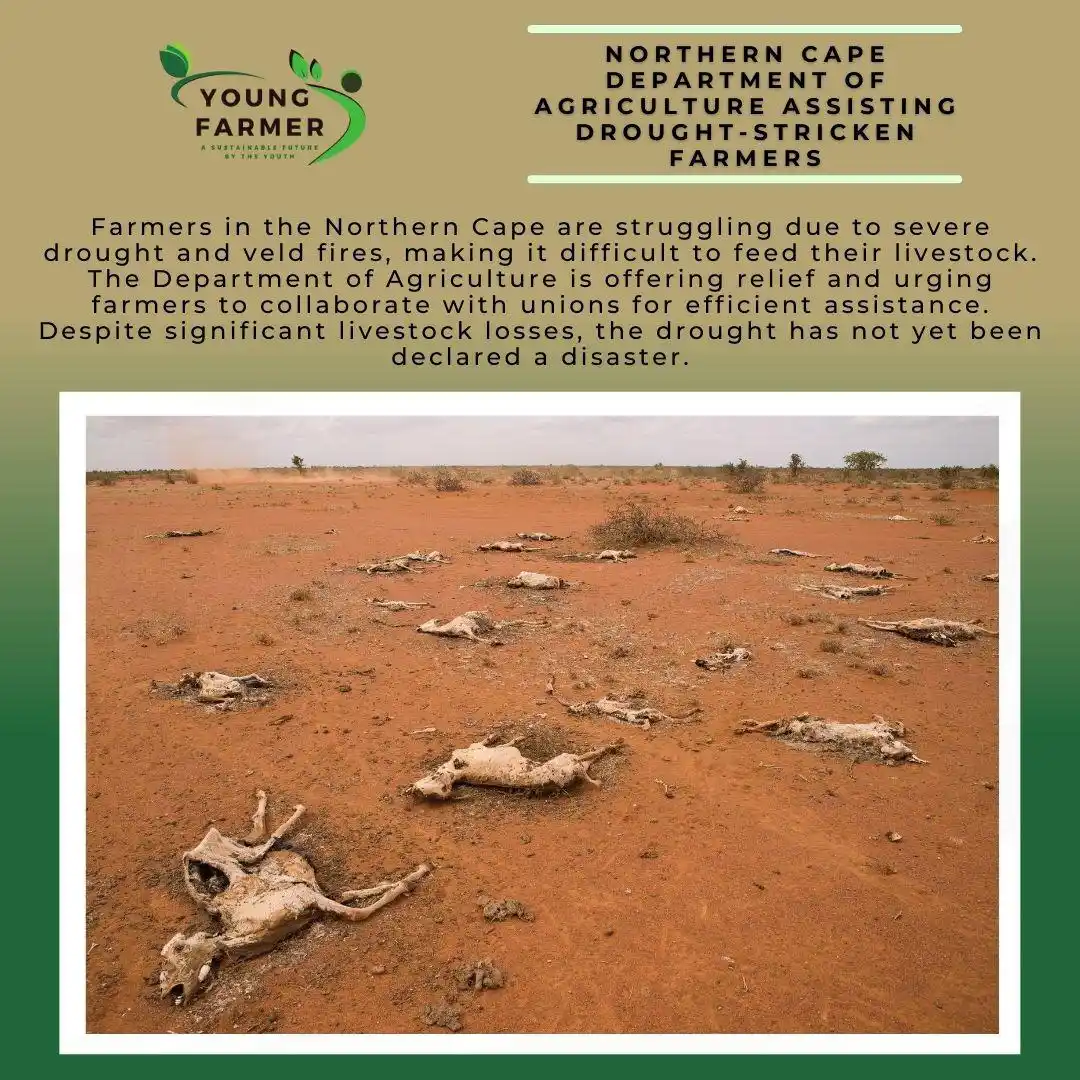 Young Farmer Official post