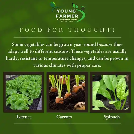 Image from Young Farmer Official: Year-Round Harvest, Year-Round Profit! 💰🌱 Investing in hardy vegetab...