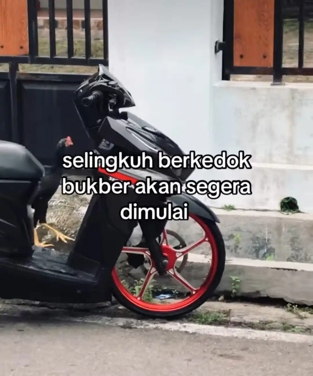 tiktok video fyp 🎧 post