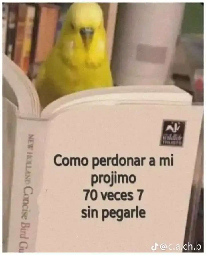 ✞︎ㅤ৴৴ʾ🕊️ㅤ𝓢𝗈ო𝗈𝘀 La  𝓘𝗀𝗅ҽ𝗌𝗂𝗮 Que Alabaㅤིྀ 🔥 ✞︎ post