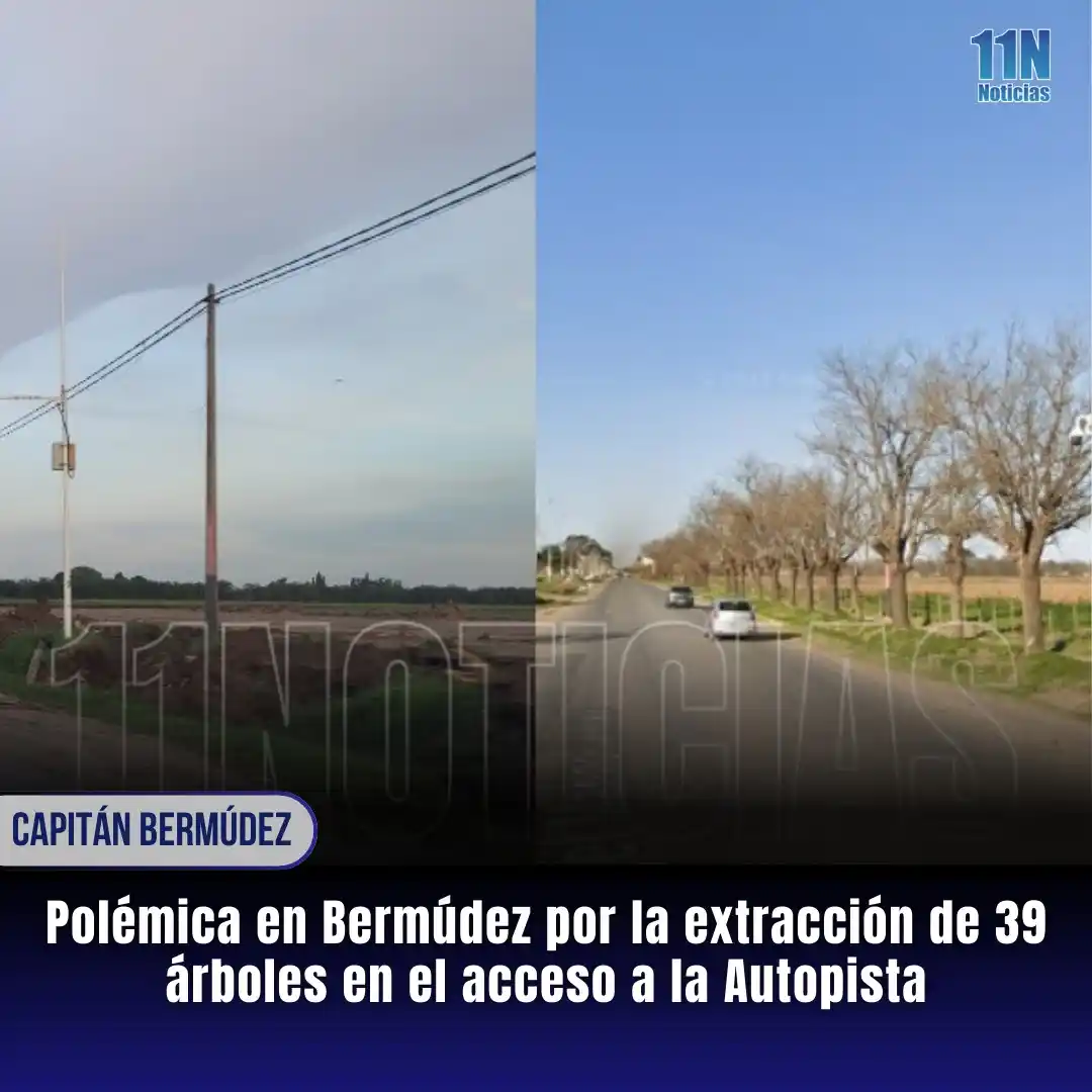 11Noticias post