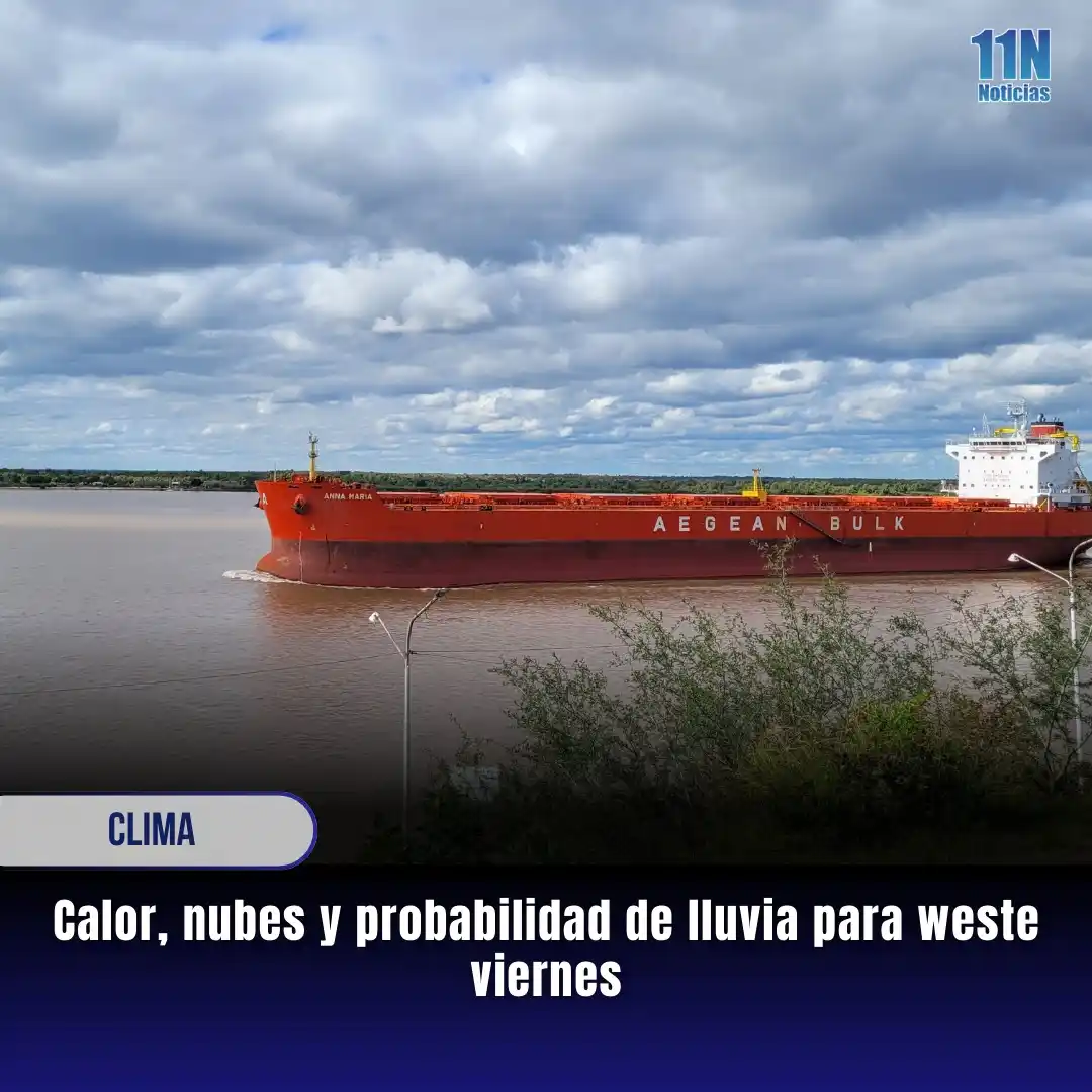 11Noticias post