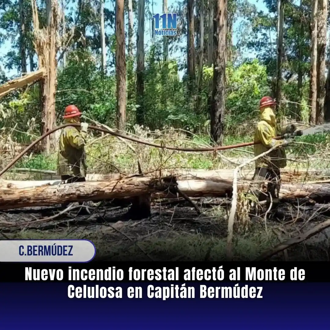 11Noticias post