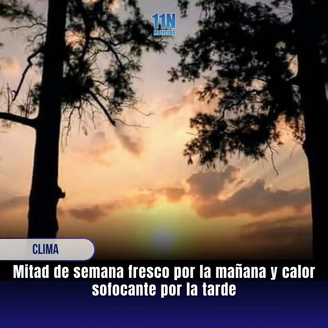 11Noticias post