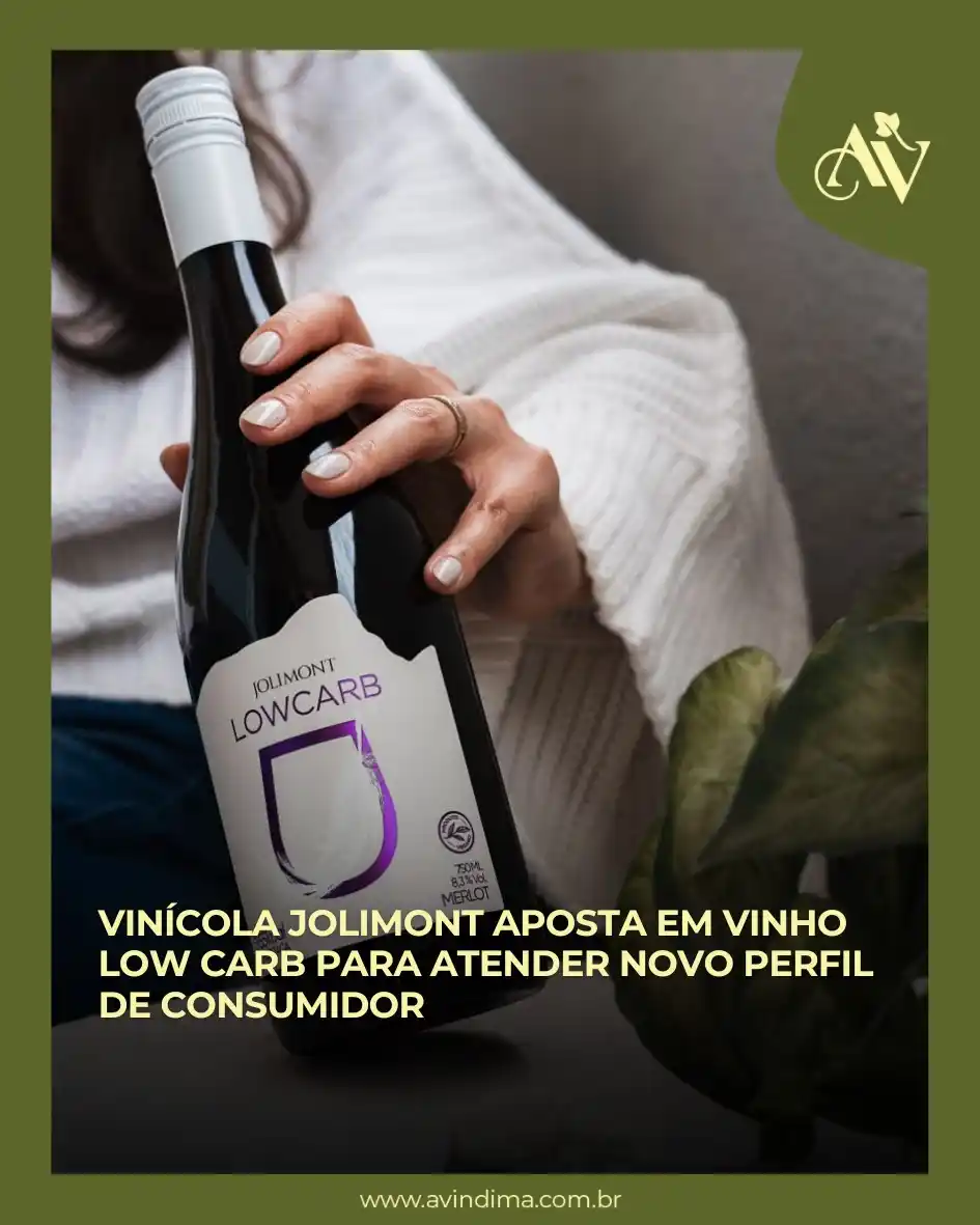 A Vindima | 📰 Portal de Notícias post