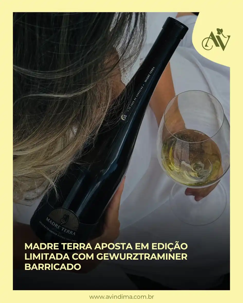 A Vindima | 📰 Portal de Notícias post