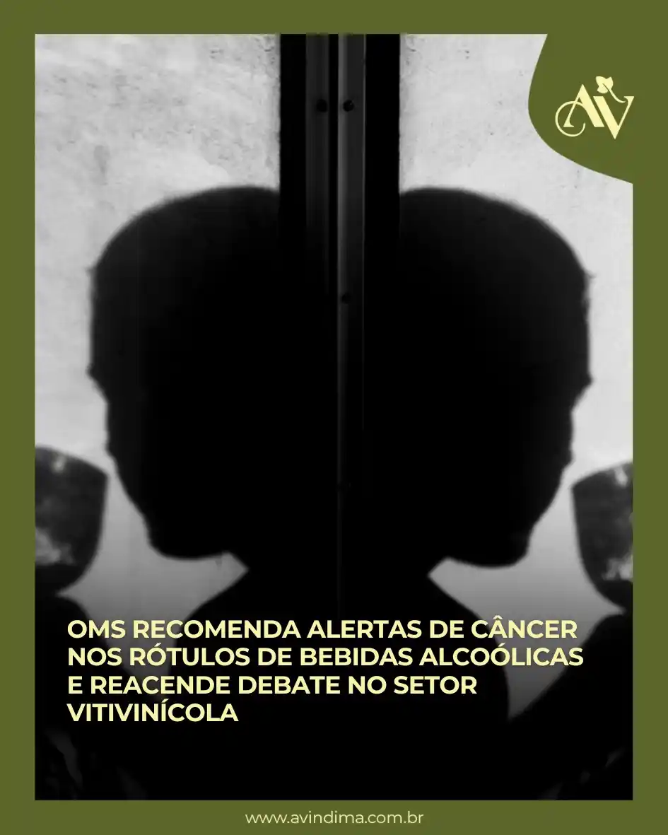 A Vindima | 📰 Portal de Notícias post