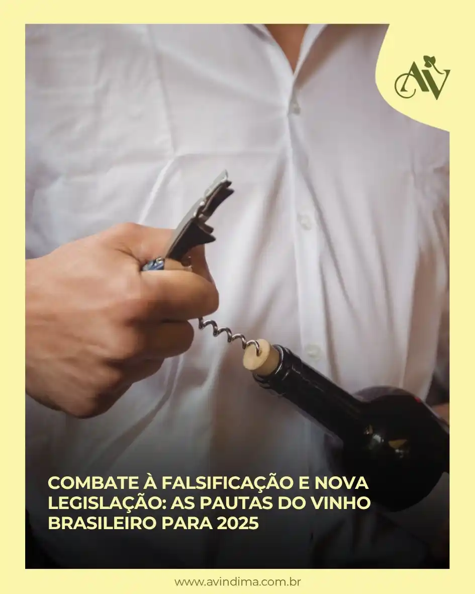 A Vindima | 📰 Portal de Notícias post