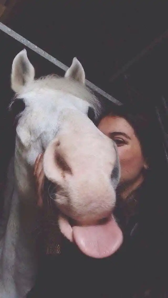 ادب و مزاح post