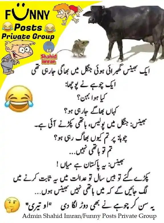 ادب و مزاح post