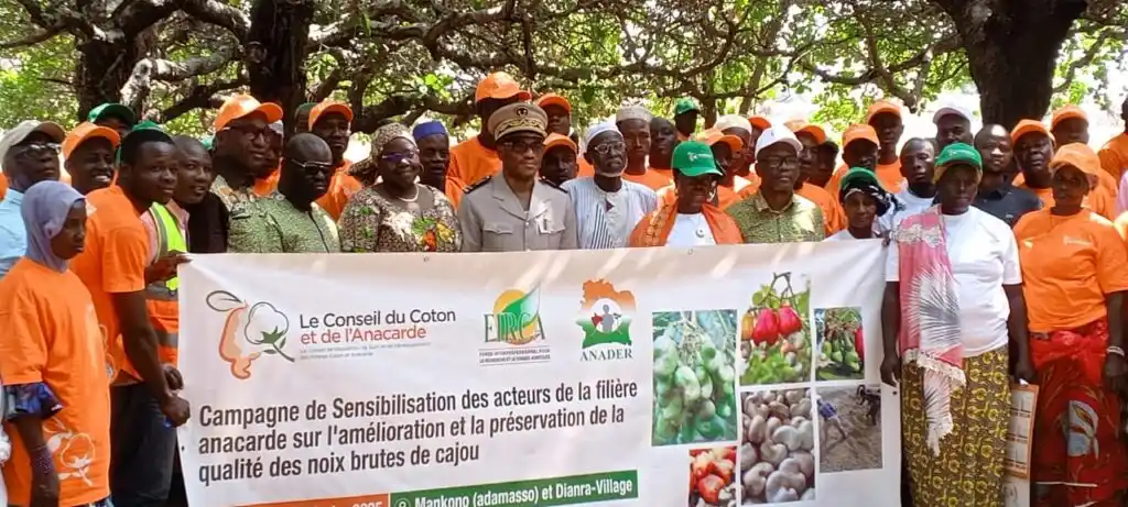 Agence Ivoirienne de Presse post