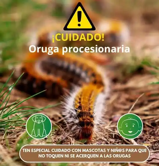 Agenda y eventos del Ayuntamiento de Argamasilla de Alba post