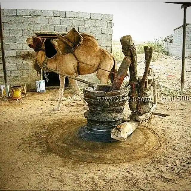 Image from منوعات 🪐: منطقه العيون، حضرموت حيث لايزال الناس يستخدمون المعصرة التقليدية الحضر...
