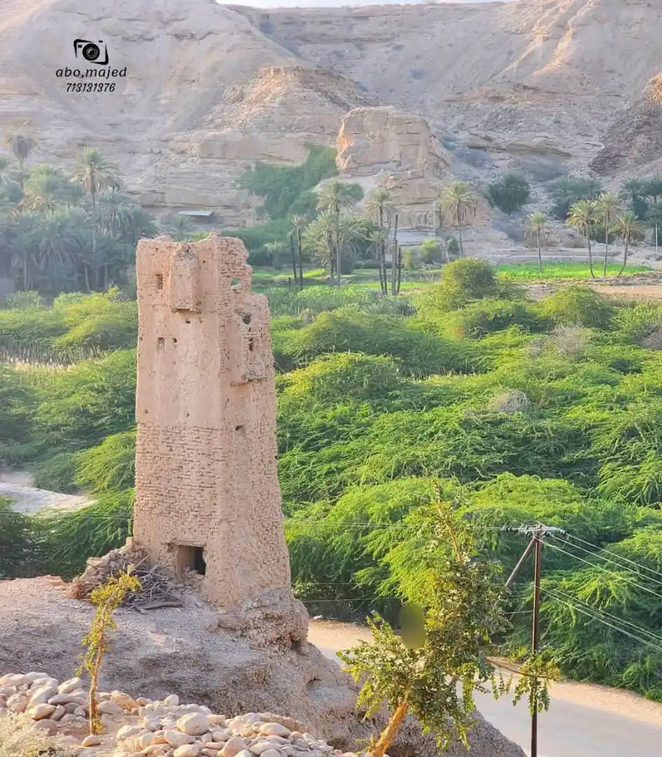 منوعات 🪐 post