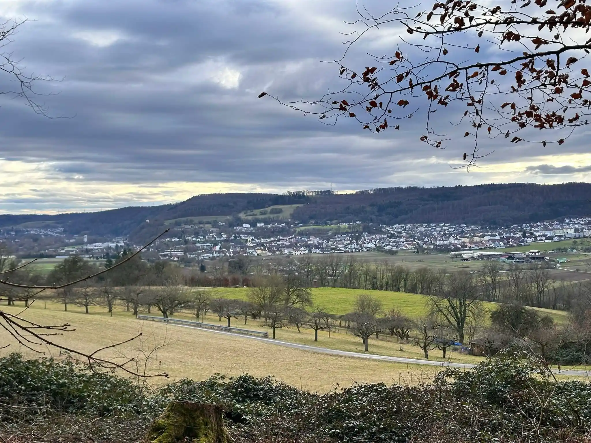 Image from Alois mit Hund: Neckarsteig – Wandern zwischen Burgen, Natur und Muskelkater Manchmal ...