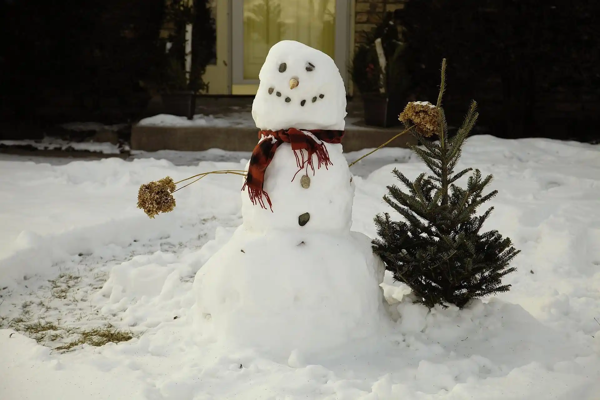 Image from Alois mit Hund: Wir bauen einen Schneemann – wenn Schnee liegen würde 😀 Es gibt kaum...